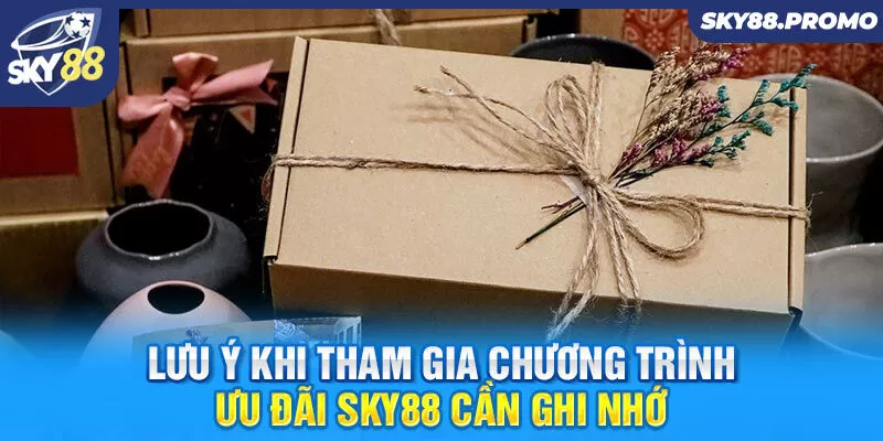 Lưu ý khi tham gia chương trình ưu đãi Sky88 cần ghi nhớ